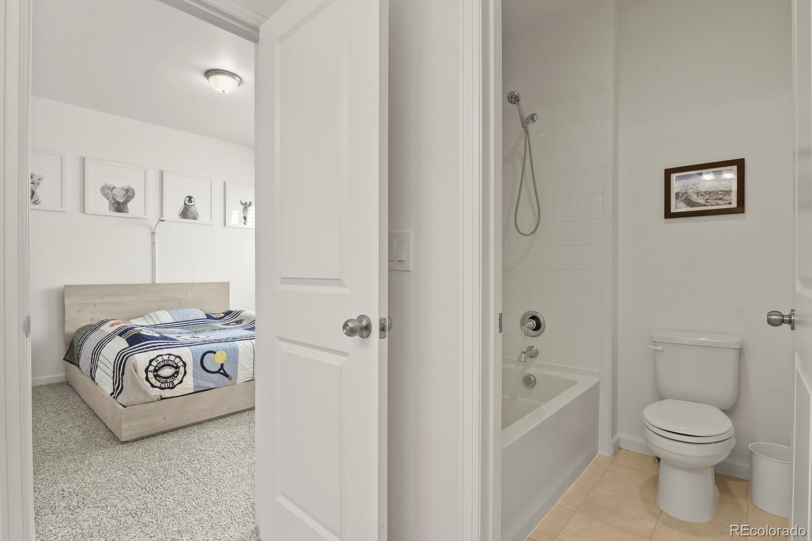 3055 Blithe Point Castle Rock, CO 80108 - Photo 31 of 50