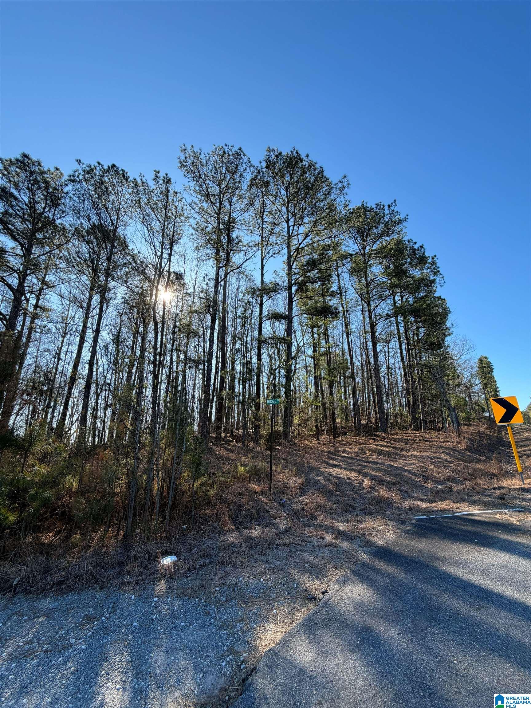 0 Ridge Road Cragford, AL 36255 - Photo 4 of 4
