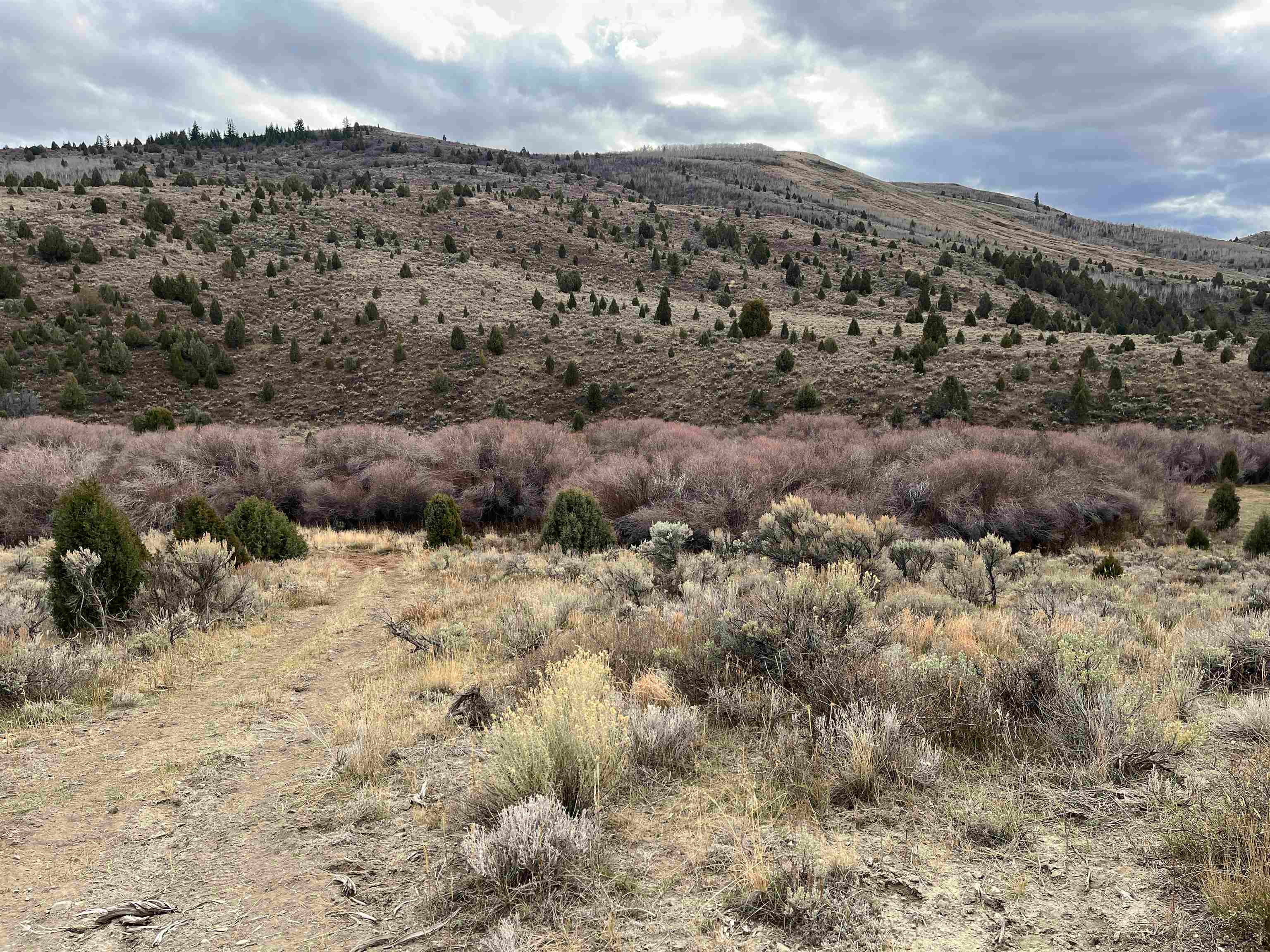 0 Dan Creek Road Firth, ID 83236 - Photo 18 of 50 Gallery Image 18