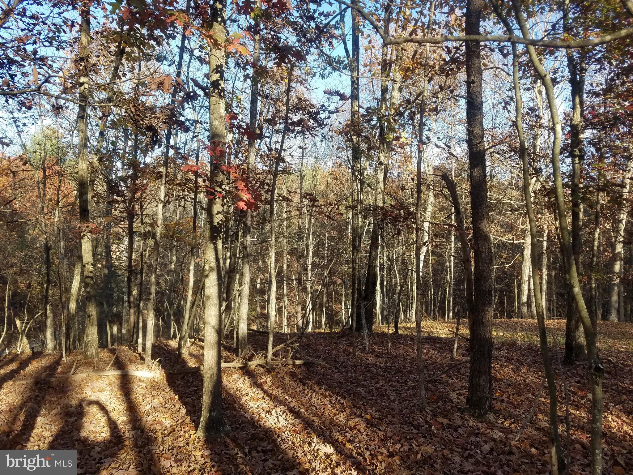 Turkey Hollow Road Romney, WV 26757 - Photo 4 of 21
