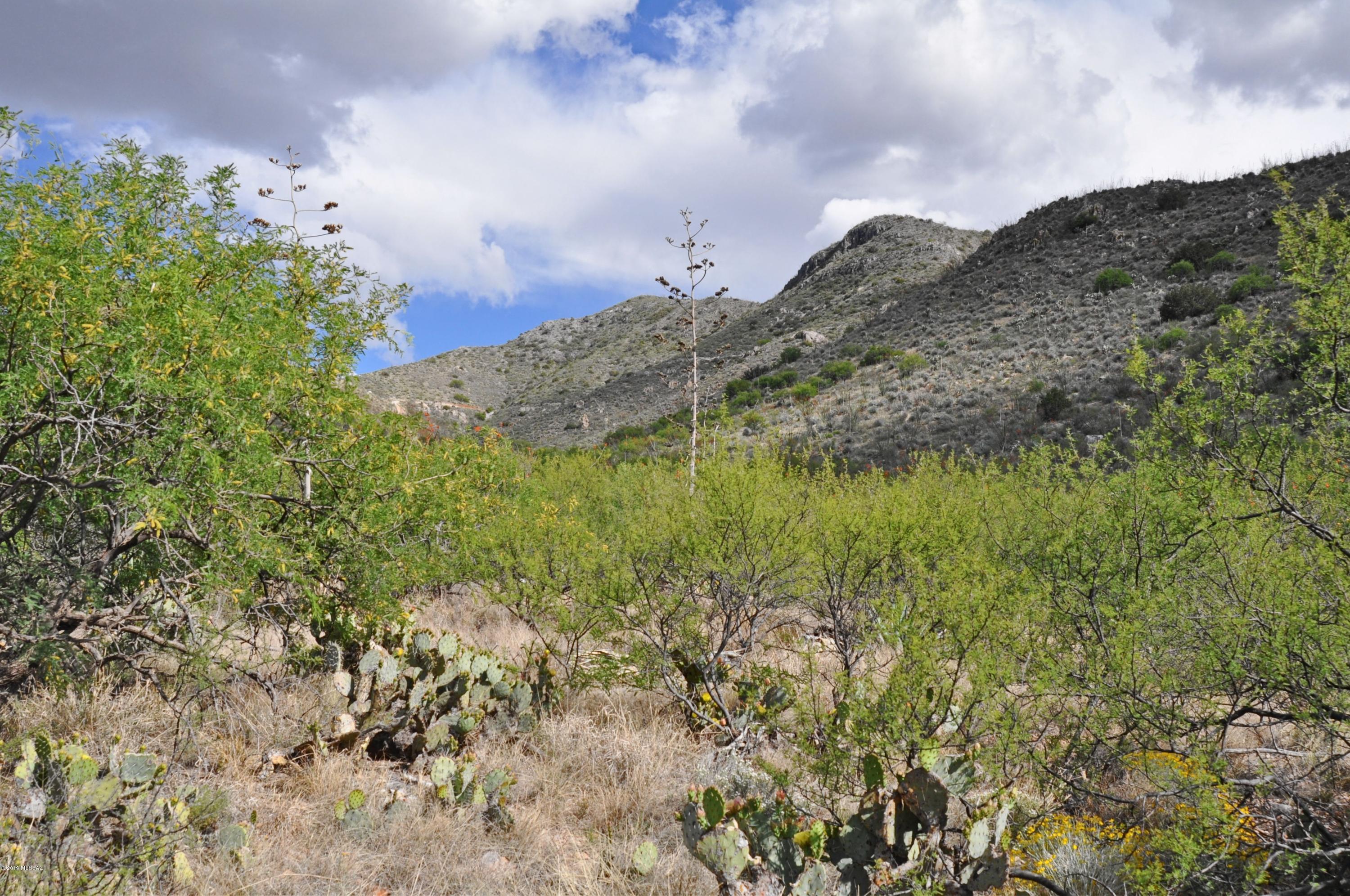 15900 East Hillton Ranch Road Vail, AZ 85641 - Photo 9 of 15