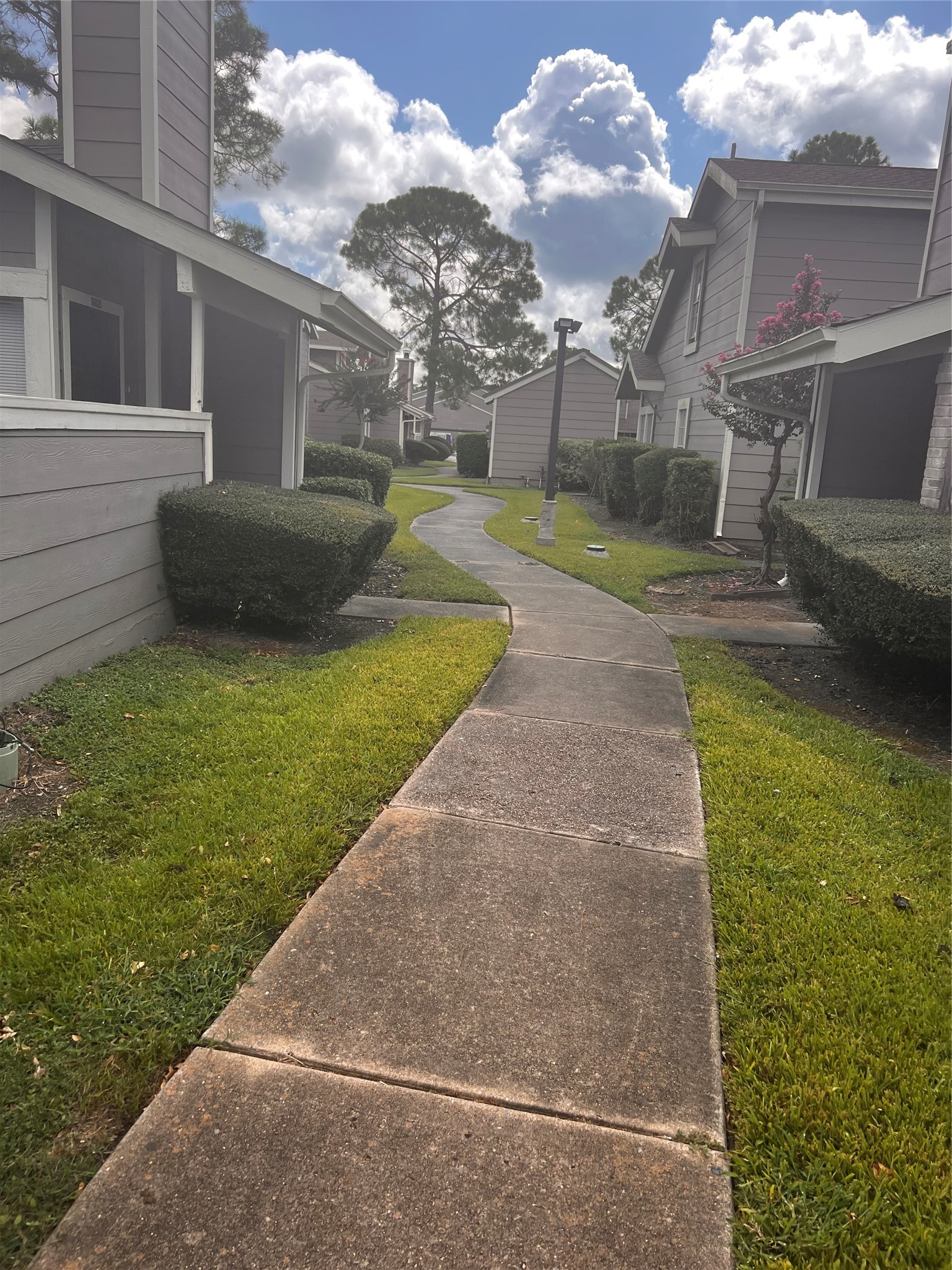 12245 Lemon Ridge Lane, Unit 122 Houston, TX 77035 - Photo 19 of 20 Gallery Image 19