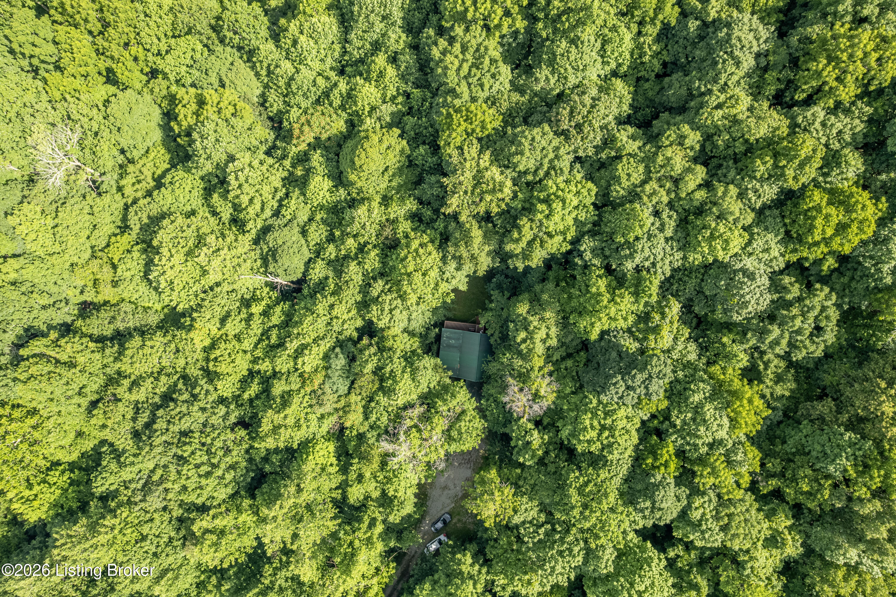 3478 Lewis School Road Leitchfield, KY 42754 - Photo 44 of 58 48-DJI_0236-HDR