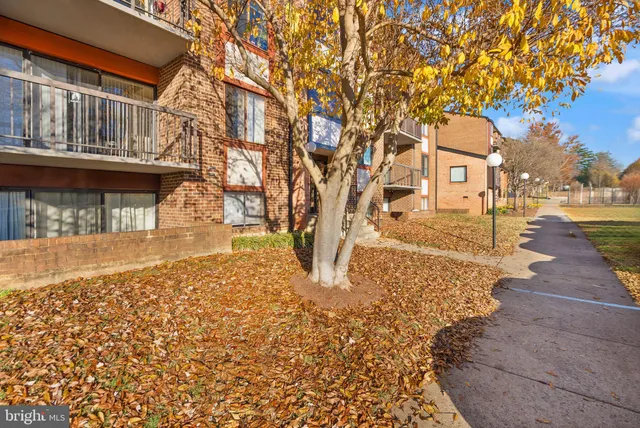 a view of a street with houses