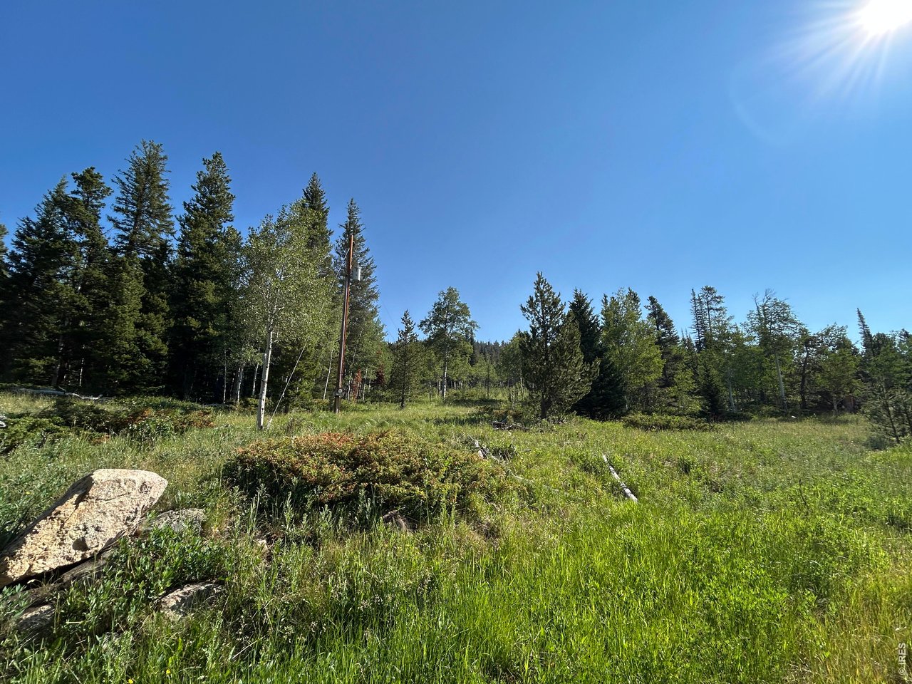 506 Elkridge Road Red Feather Lakes, CO 80545 - Photo 18 of 25