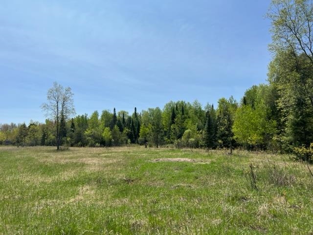 7366 North 47 3/4 Road Manton, MI 49663 - Photo 71 of 78 1911142-71.JPG