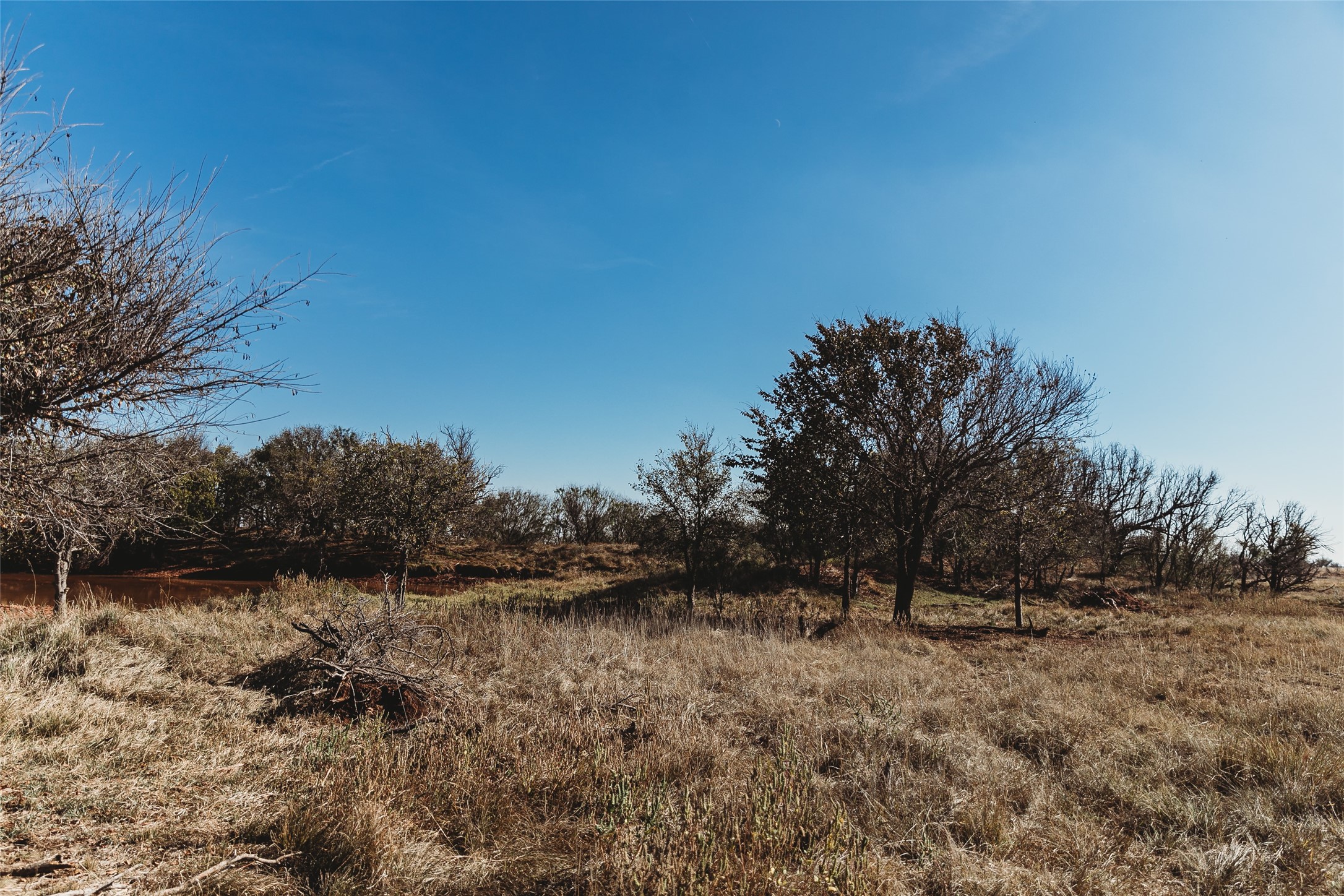 Tbd Marr Road Haskell, TX 79521 - Photo 12 of 25 a view of backyard with green space
