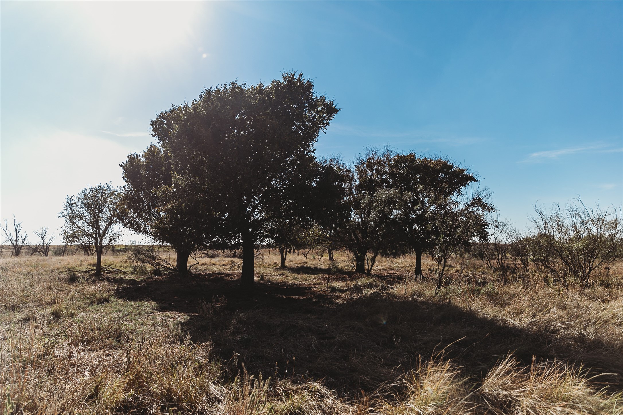 Tbd Marr Road Haskell, TX 79521 - Photo 13 of 25 a view of outdoor space with green space