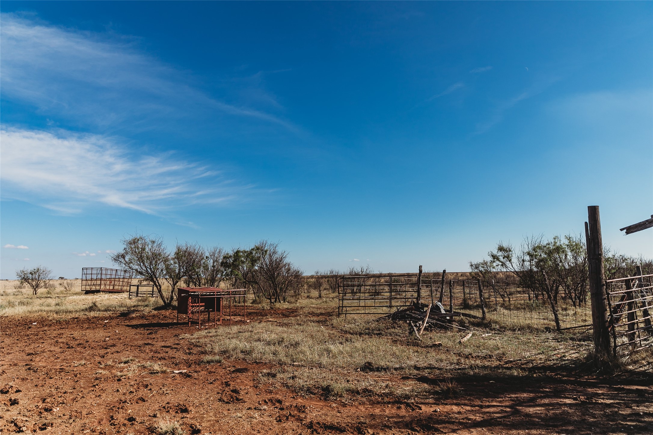 Tbd Marr Road Haskell, TX 79521 - Photo 6 of 25 a view of a dry yard with trees