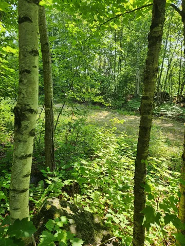 $129,000 | Lot C Lot C Fern Drive, Buckfield, ME 04220