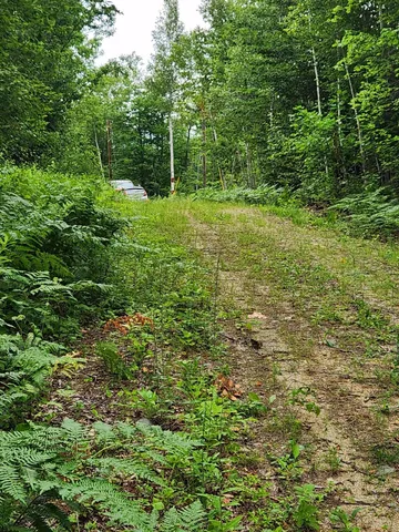 $129,000 | Lot C Lot C Fern Drive, Buckfield, ME 04220