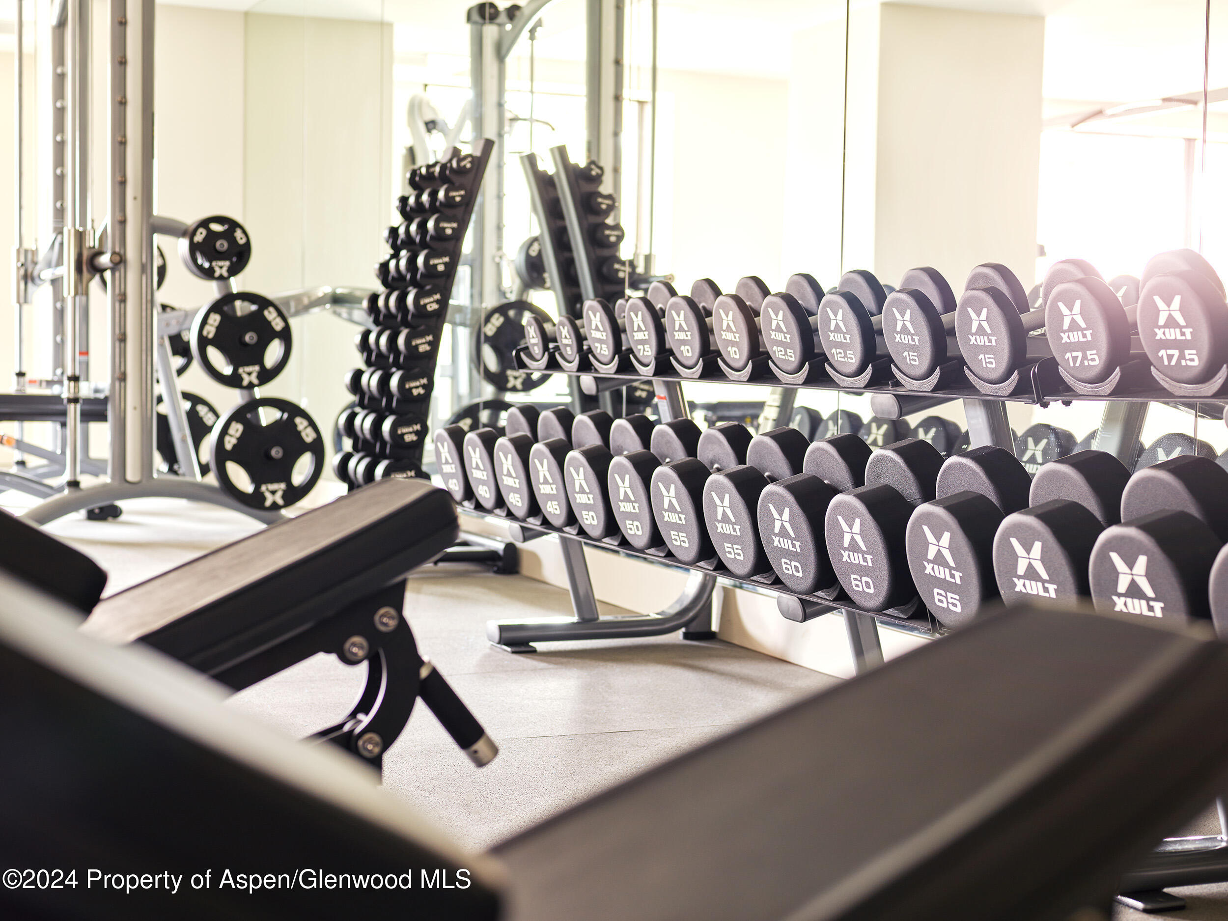 77 Wood Road, Unit 30605 Snowmass Village, CO 81615 - Photo 13 of 22 onesnowmass_fitnessdetails1_WEB_LOWRES_2
