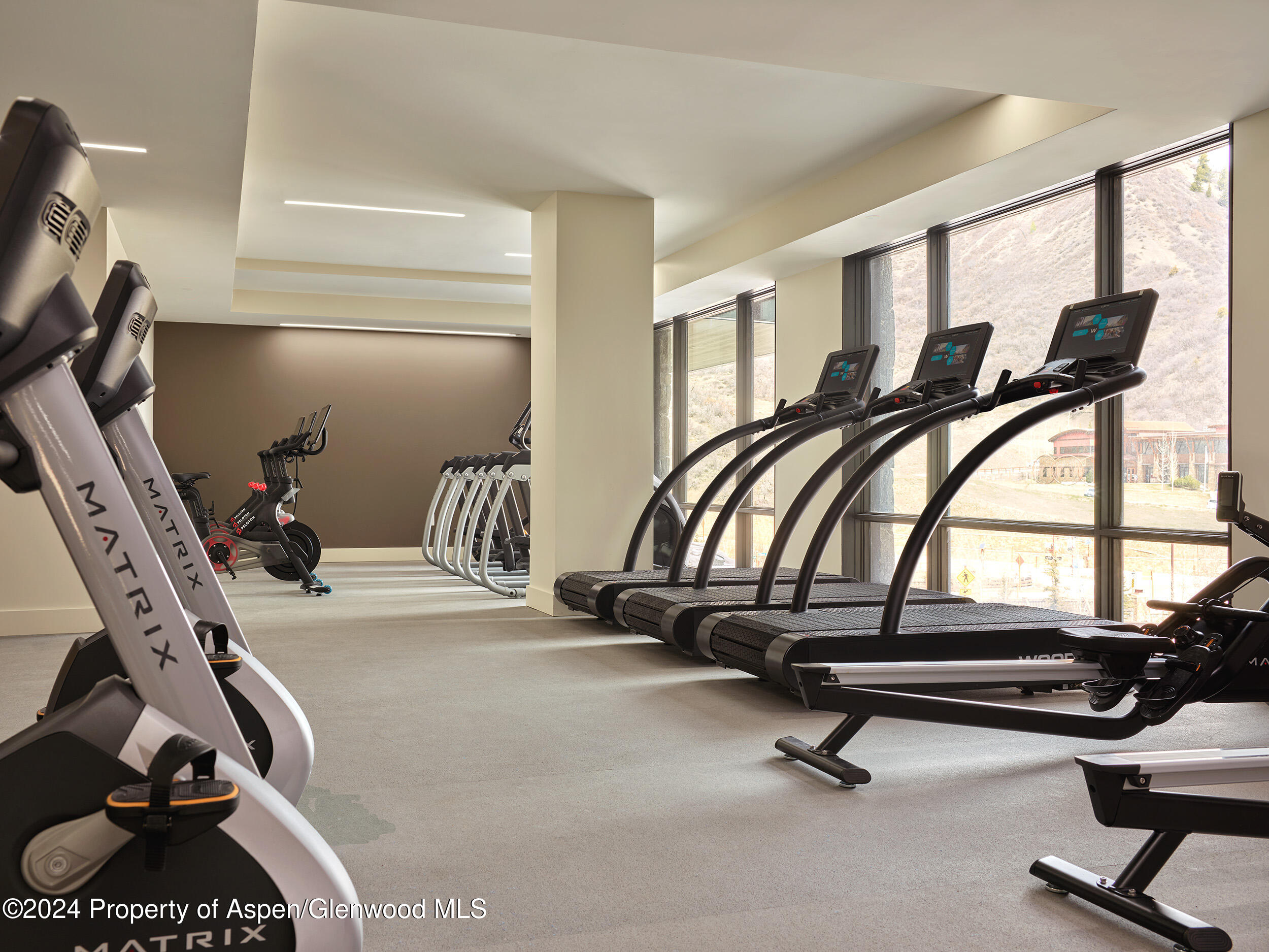 77 Wood Road, Unit 30605 Snowmass Village, CO 81615 - Photo 15 of 22 onesnowmass_fitness_WEB_LOWRES_29125 cop