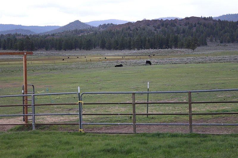 30515 Godowa Springs Road Beatty, OR 97621 - Photo 16 of 23 Additional Photo