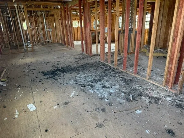 a view of beach and ocean