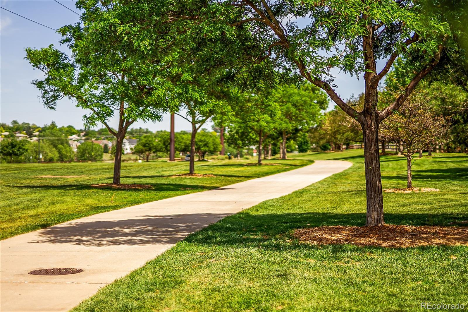 9441 South Hackberry Lane Highlands Ranch, CO 80129 - Photo 47 of 50 a view of a park with large trees