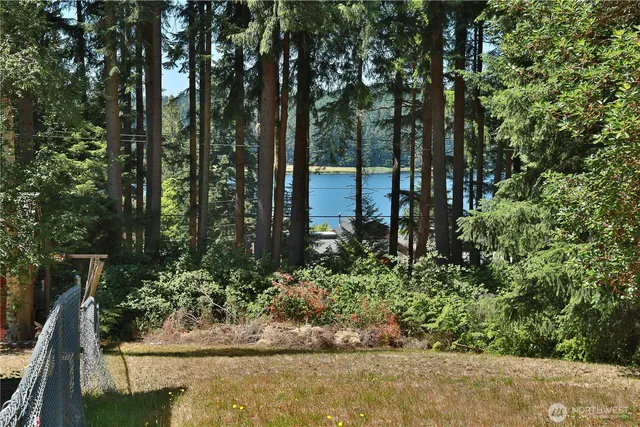 a view of a garden with plants