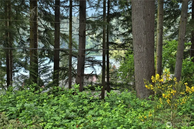 a view of a yard with an trees