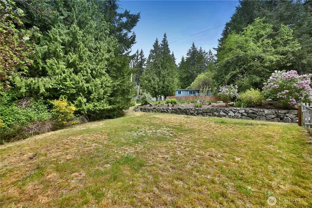 a view of a yard with plants and trees