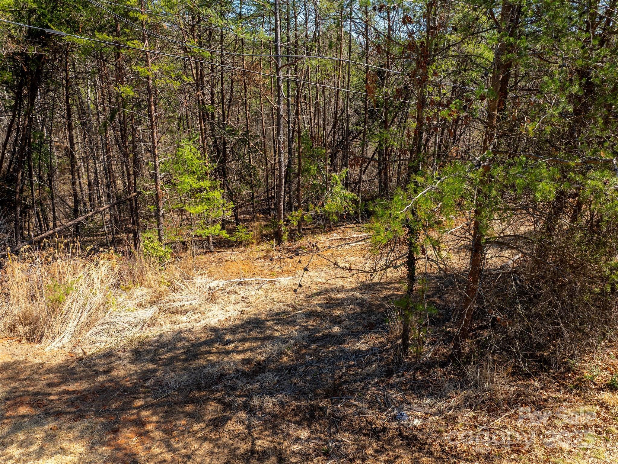 83 Union Chapel Road Weaverville, NC 28787 - Photo 13 of 14