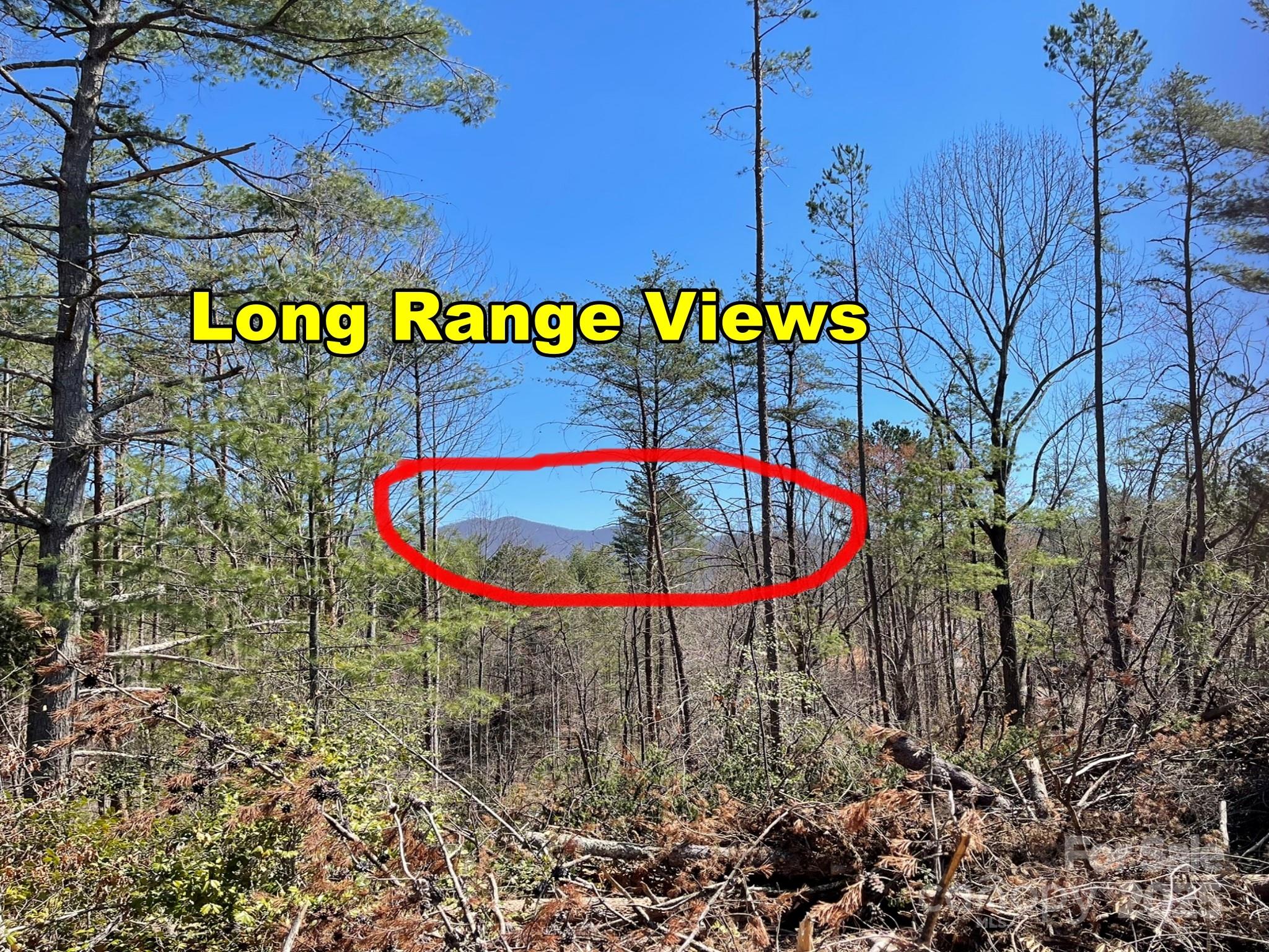 83 Union Chapel Road Weaverville, NC 28787 - Photo 2 of 14