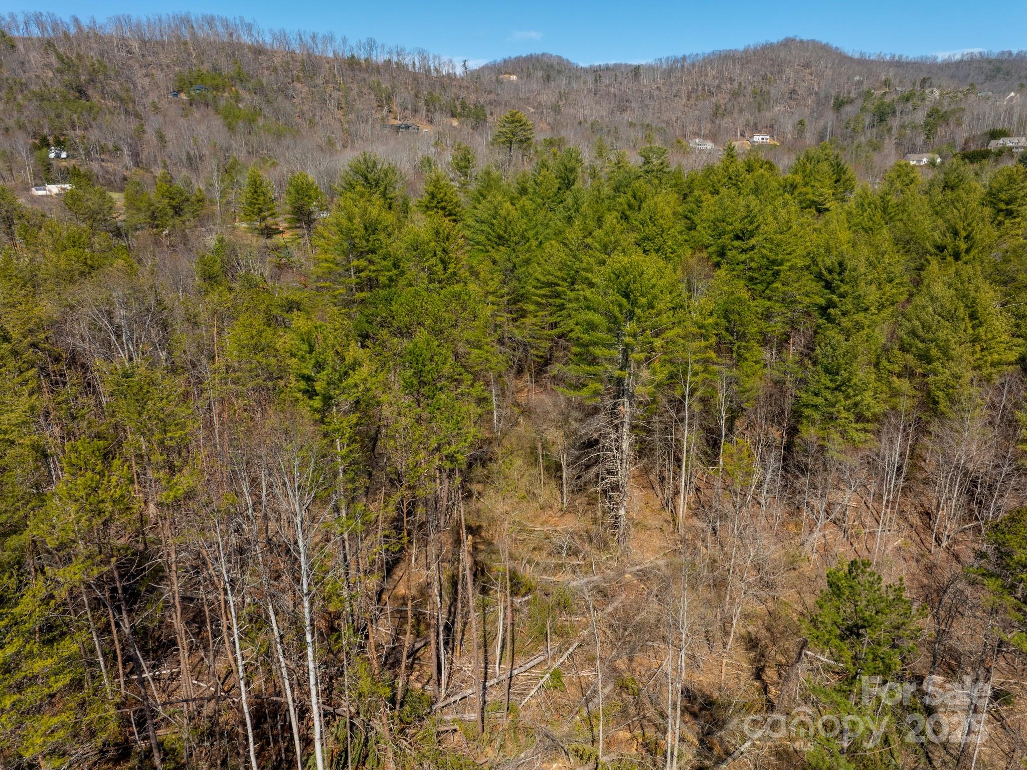 83 Union Chapel Road Weaverville, NC 28787 - Photo 3 of 14