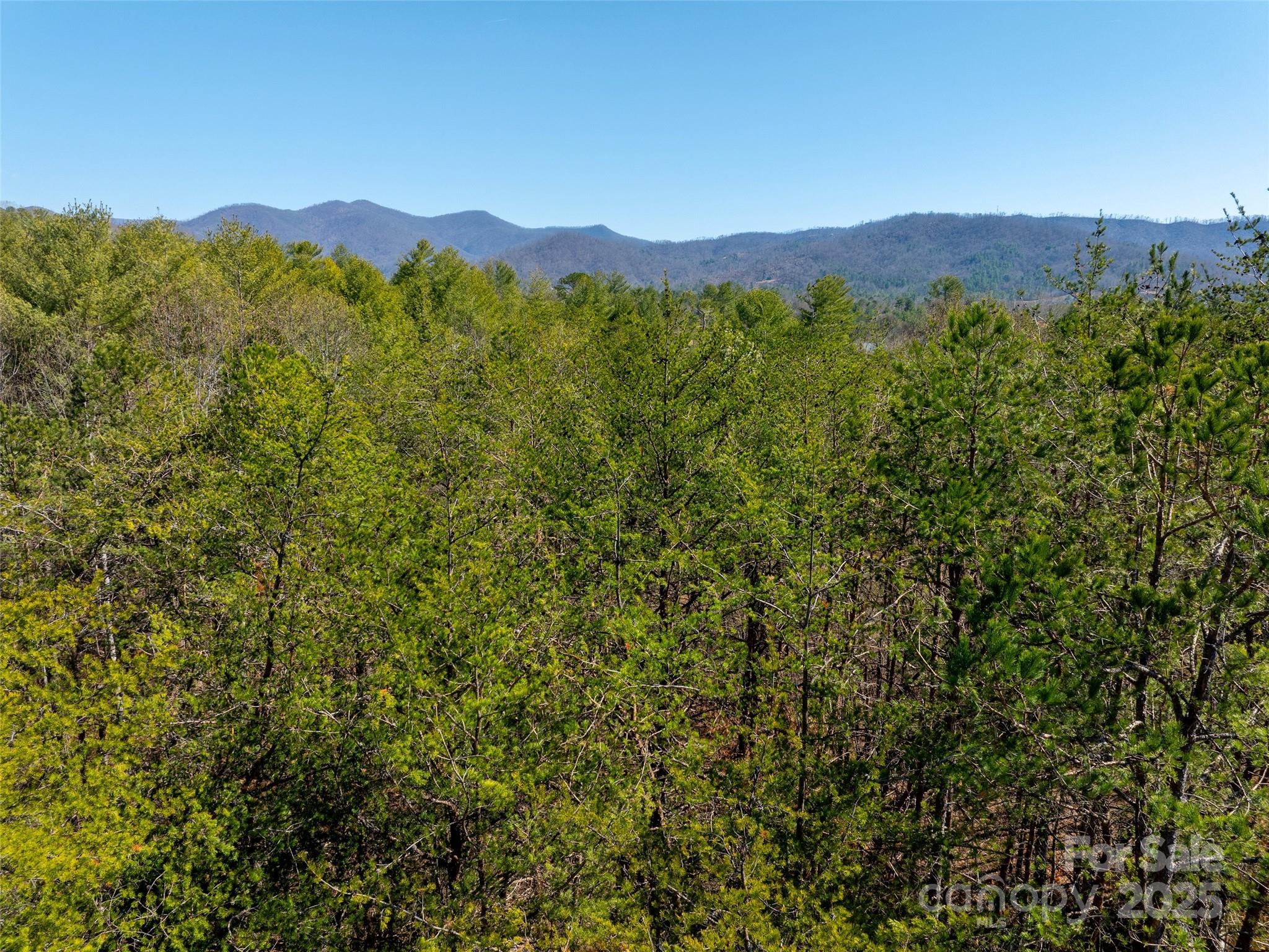83 Union Chapel Road Weaverville, NC 28787 - Photo 5 of 14