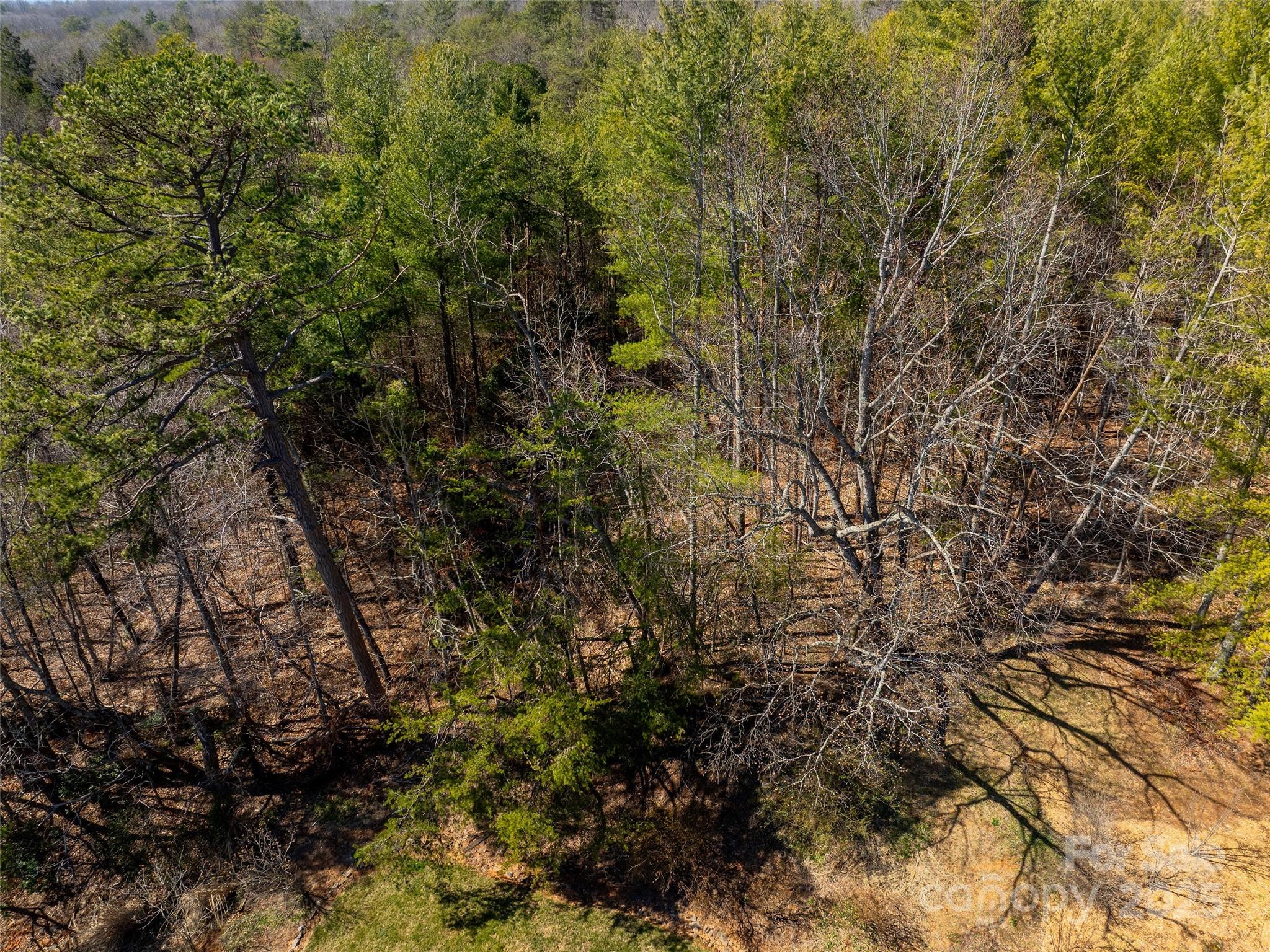 83 Union Chapel Road Weaverville, NC 28787 - Photo 6 of 14