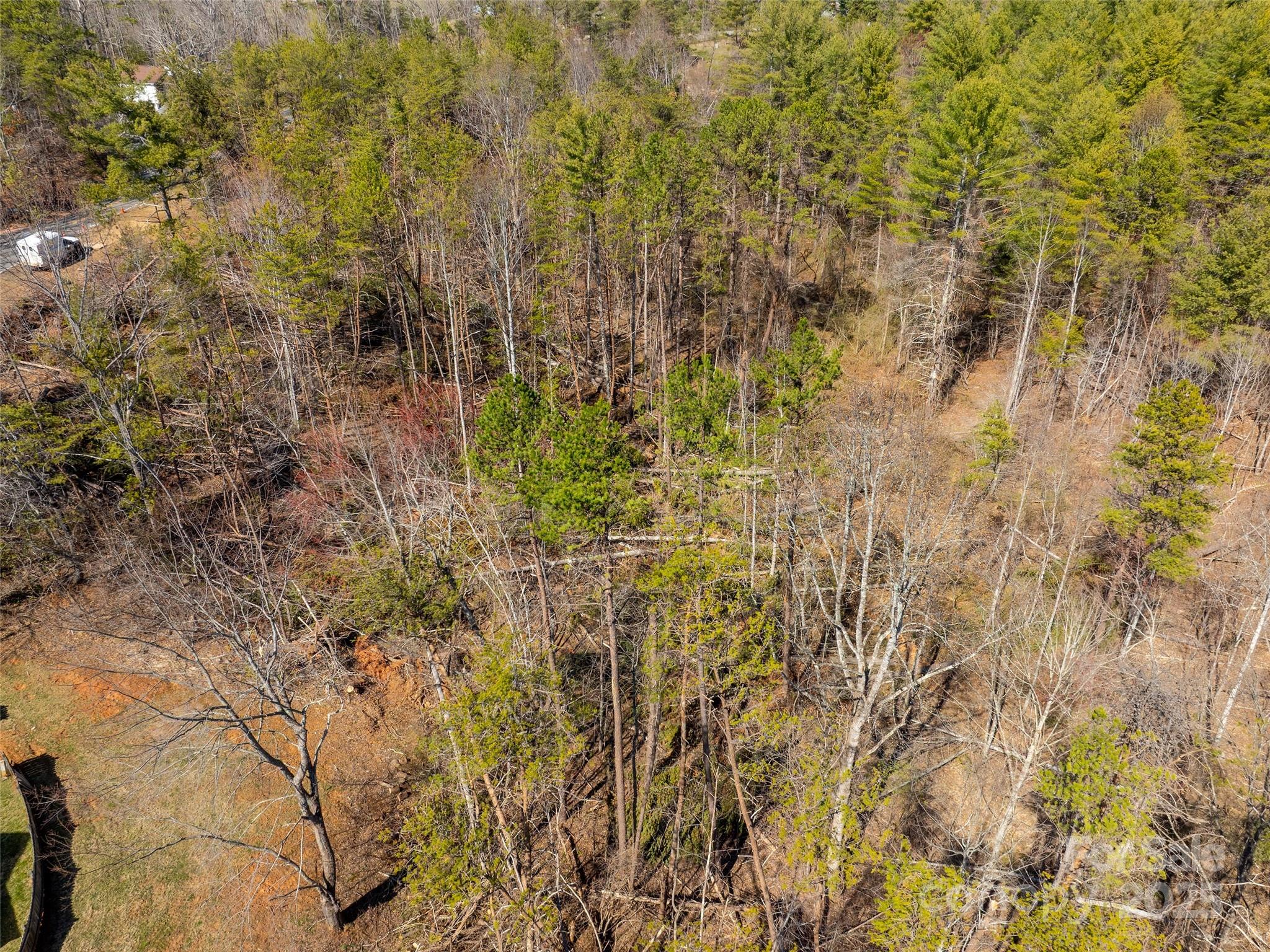 83 Union Chapel Road Weaverville, NC 28787 - Photo 7 of 14