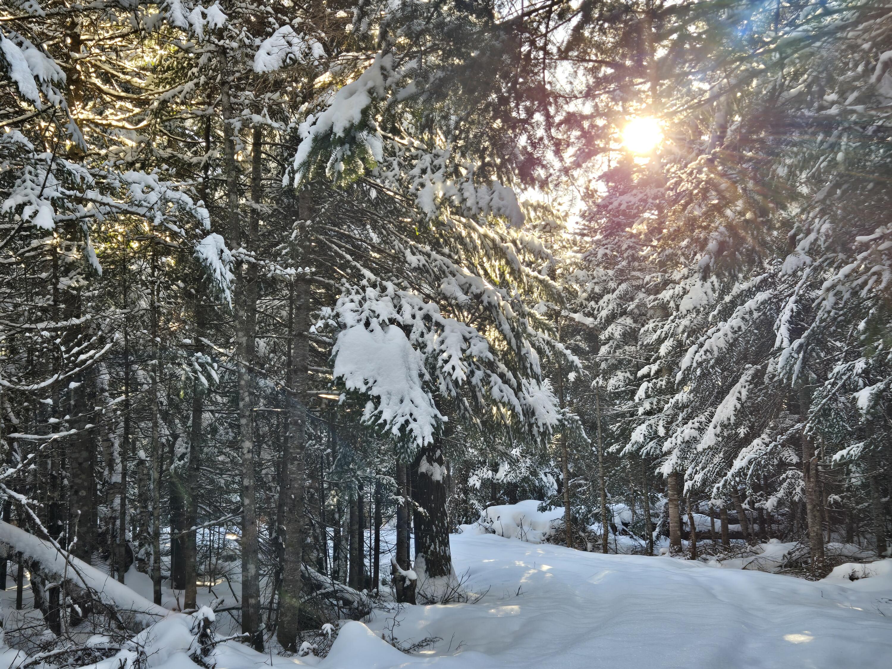 Lot 27-12 Winter Road Rangeley, ME 04970 - Photo 2 of 33 20241226_134708