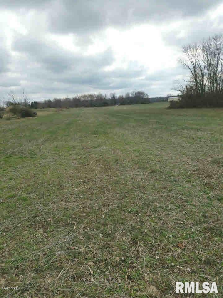 4479 Park Street Road Mulkeytown, IL 62865 - Photo 1 of 6