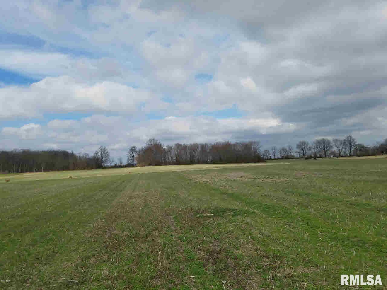 4479 Park Street Road Mulkeytown, IL 62865 - Photo 2 of 6