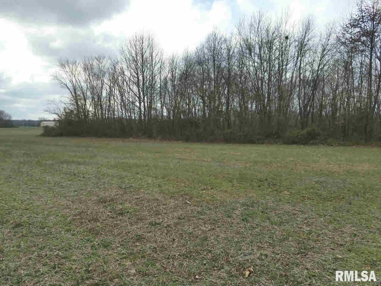 4479 Park Street Road Mulkeytown, IL 62865 - Photo 4 of 6