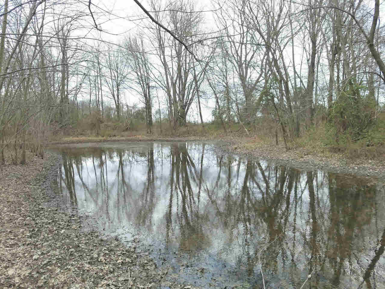 4479 Park Street Road Mulkeytown, IL 62865 - Photo 5 of 6