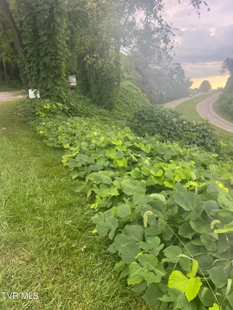 $13,999 | 0 Burke Street, Castlewood, VA 24224