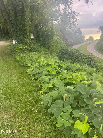 $13,999 | 0 Burke Street, Castlewood, VA 24224