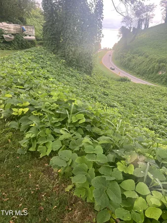 $13,999 | 0 Burke Street, Castlewood, VA 24224