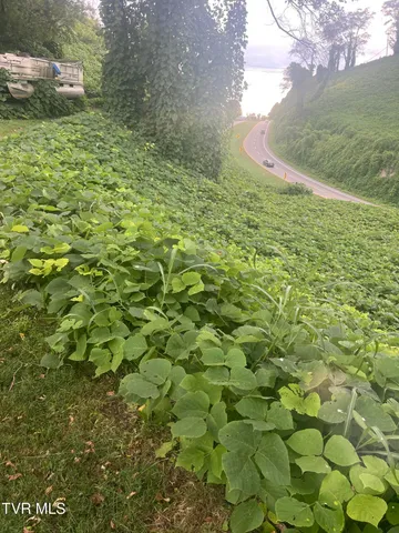 $13,999 | 0 Burke Street, Castlewood, VA 24224