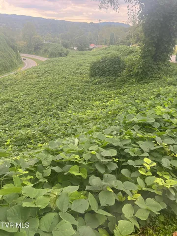 $13,999 | 0 Burke Street, Castlewood, VA 24224