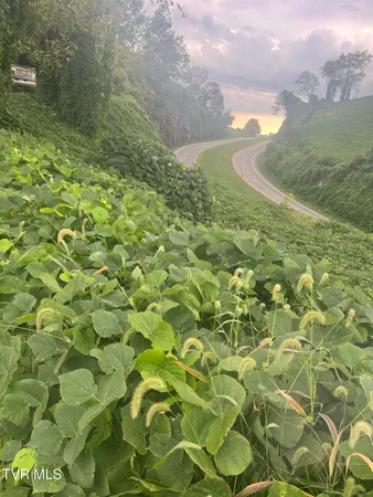 $13,999 | 0 Burke Street, Castlewood, VA 24224