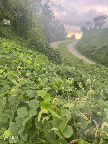 $13,999 | 0 Burke Street, Castlewood, VA 24224