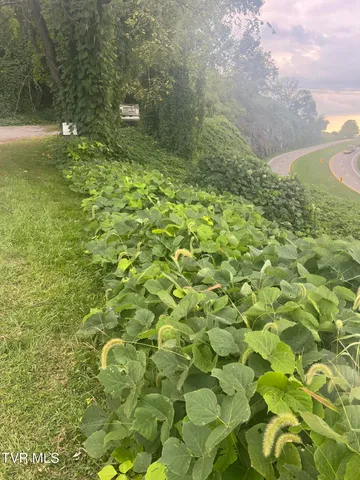 $13,999 | 0 Burke Street, Castlewood, VA 24224