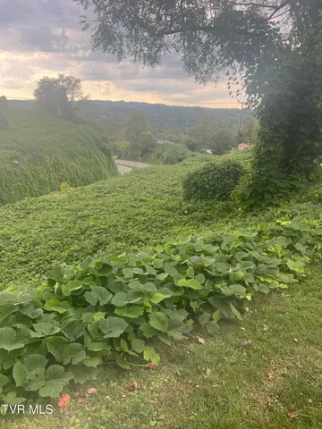 $13,999 | 0 Burke Street, Castlewood, VA 24224