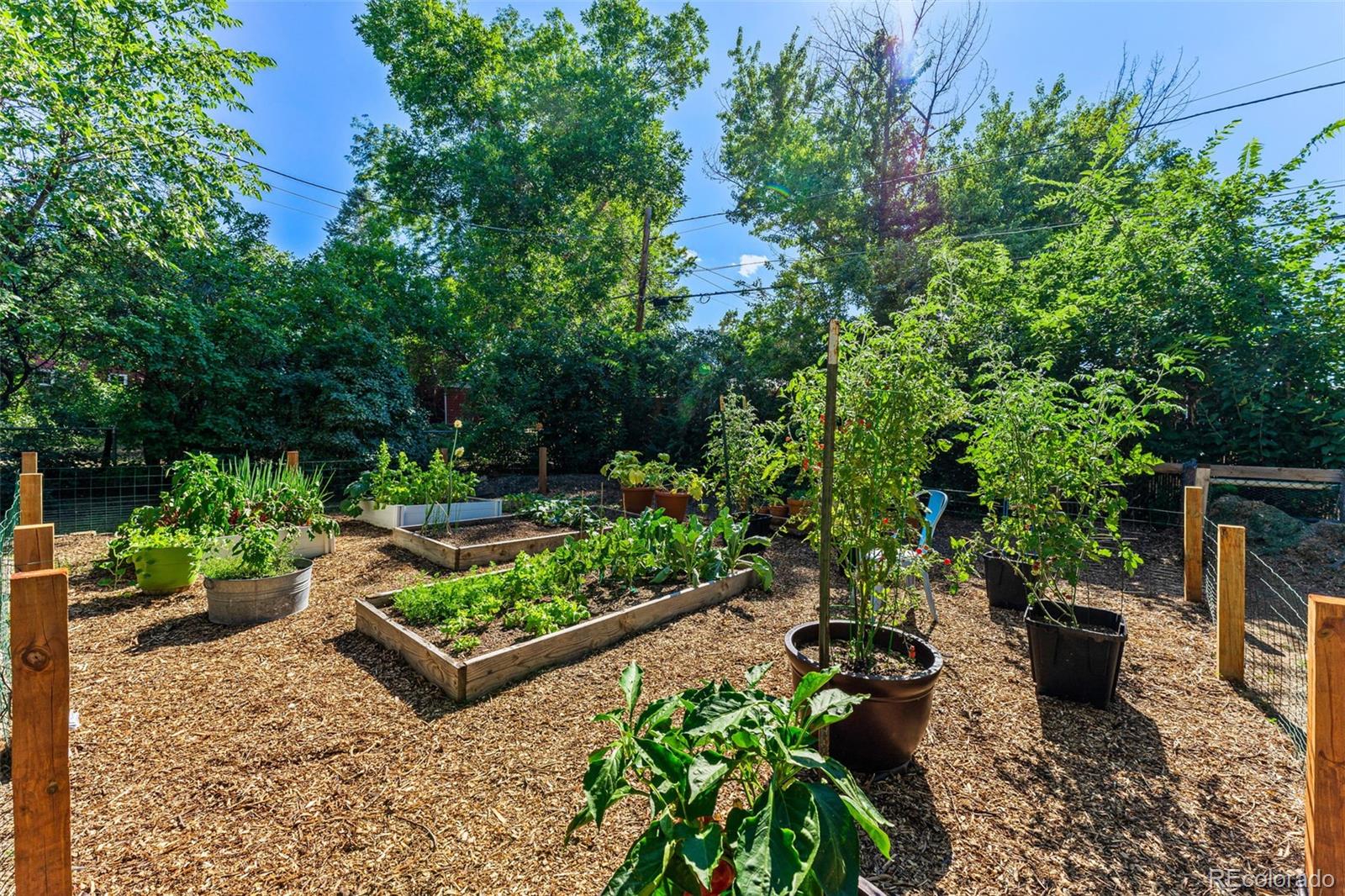 3885 Cody Street Wheat Ridge, CO 80033 - Photo 39 of 40 a garden with lots of trees and flowers