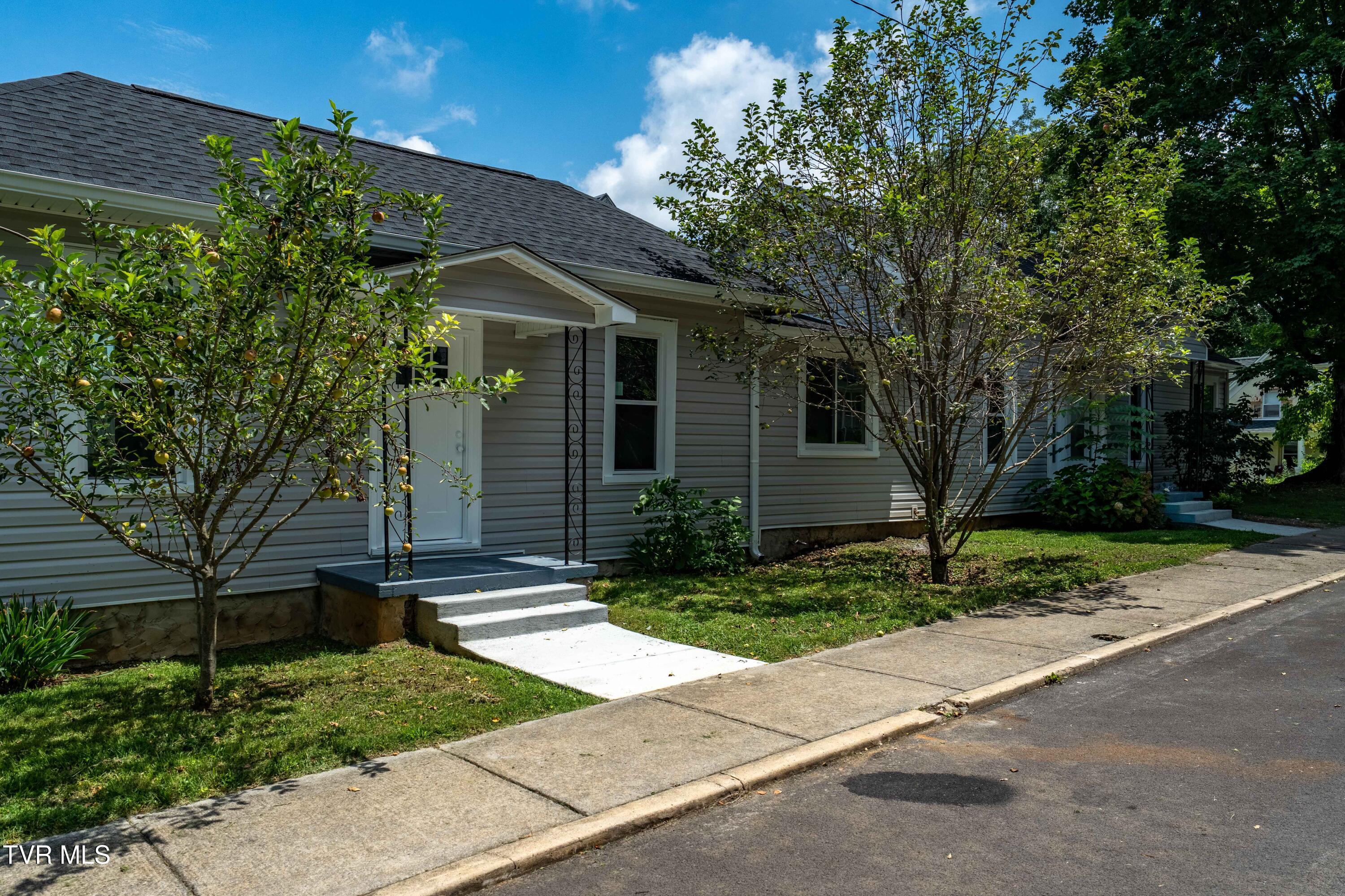 1007 Spring Street Johnson City, TN 37604 - Photo 2 of 45 Front View