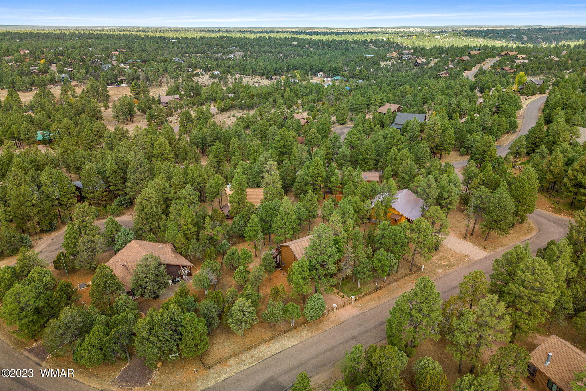 2276 Lindberg Road Overgaard, AZ 85933 - Photo 31 of 34 a view of a green field with lots of bushes