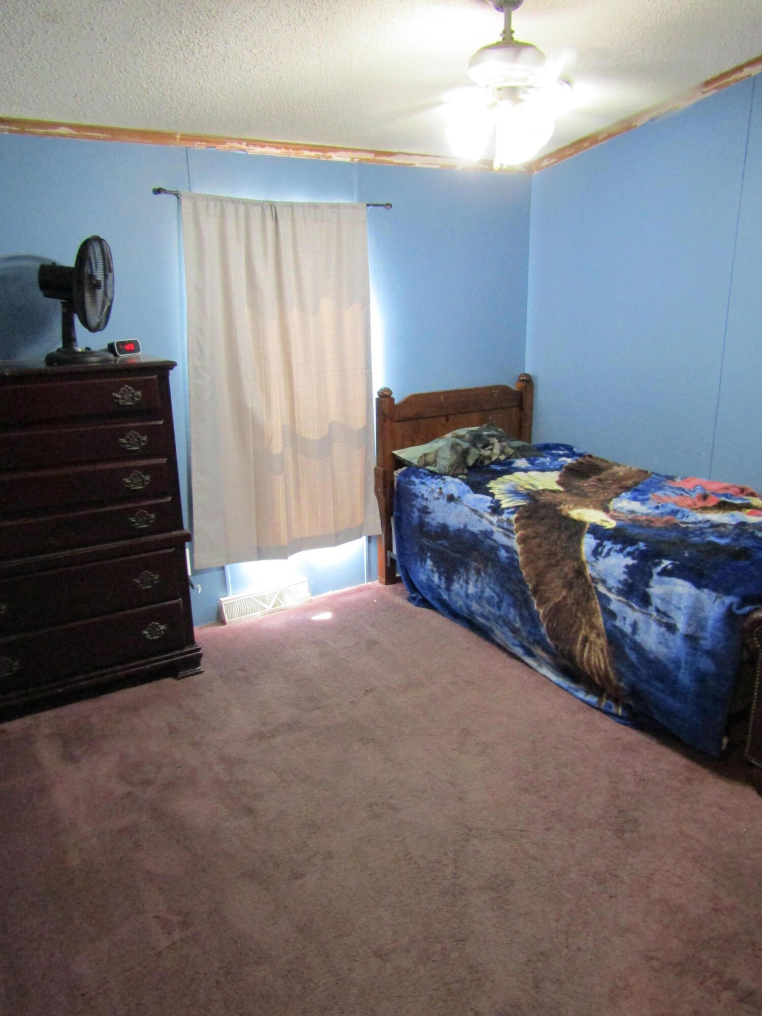 5998 Bartonville Road Belding, MI 48809 - Photo 14 of 28 IMG_7005