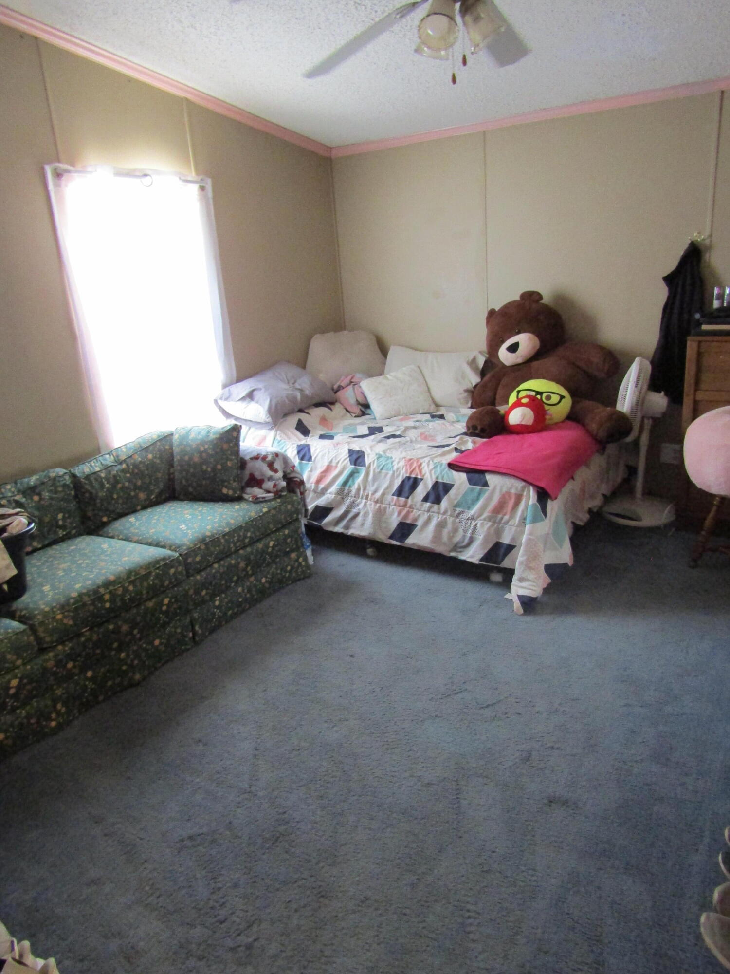 5998 Bartonville Road Belding, MI 48809 - Photo 15 of 28 IMG_7006