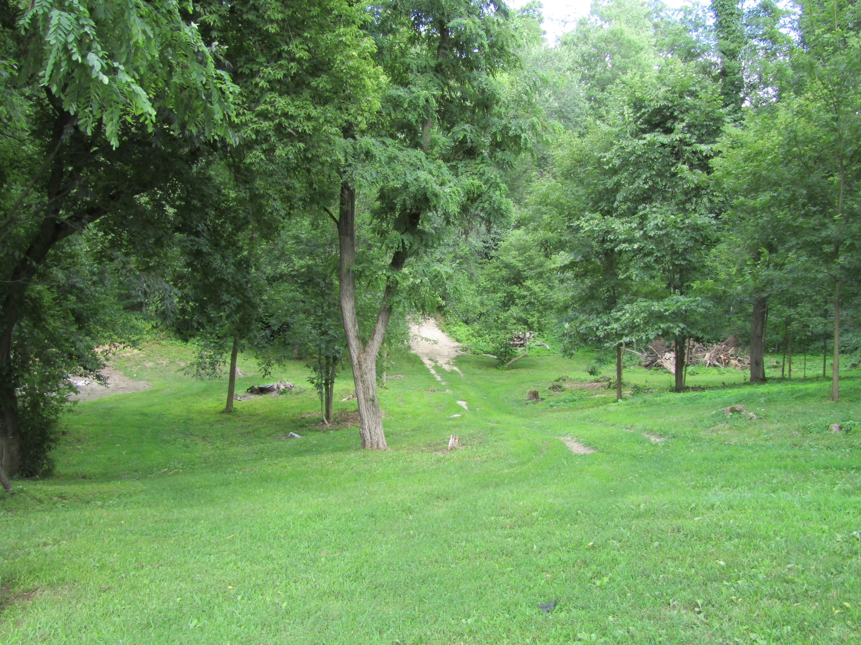 5998 Bartonville Road Belding, MI 48809 - Photo 20 of 28 IMG_7016