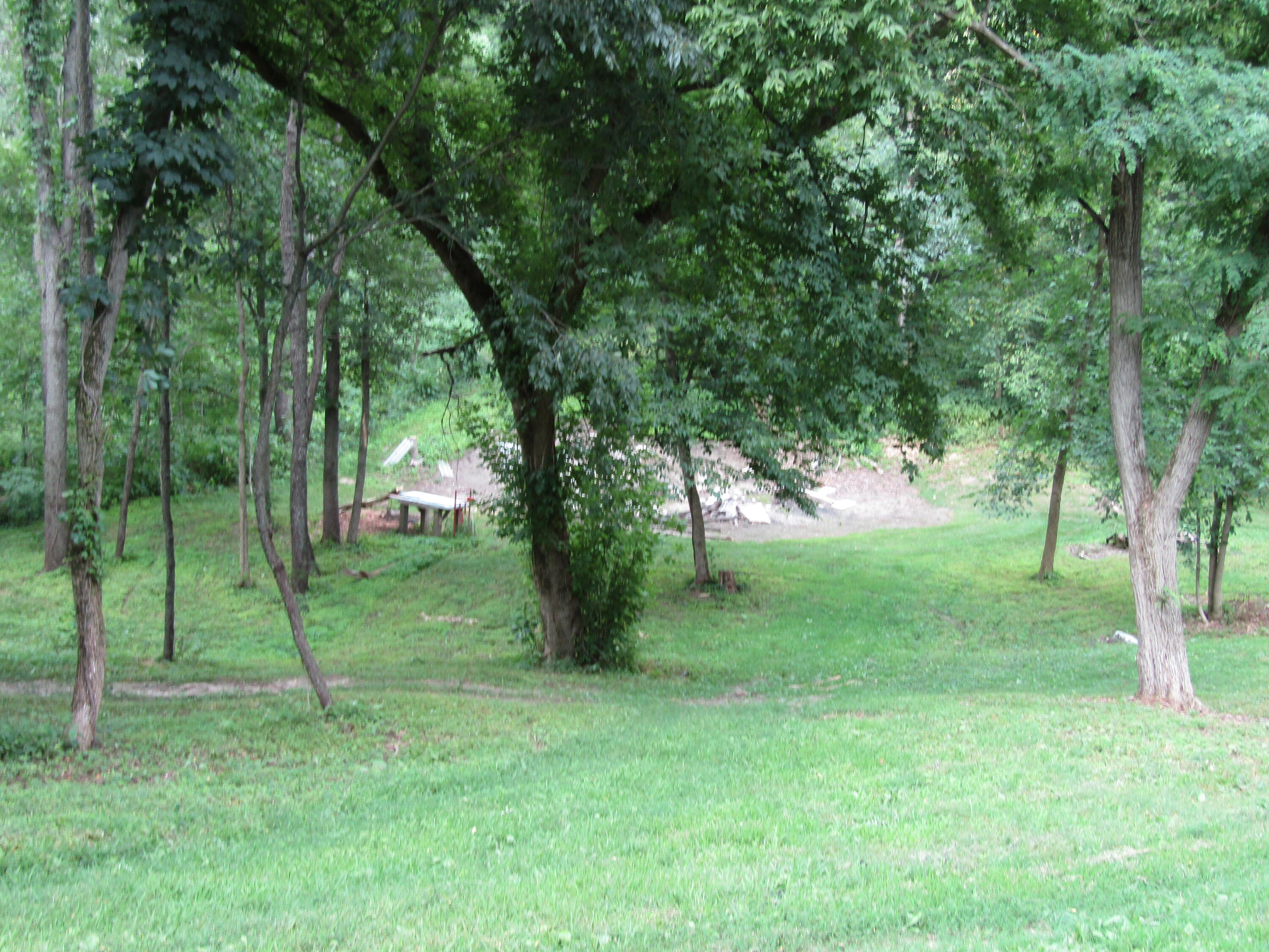 5998 Bartonville Road Belding, MI 48809 - Photo 21 of 28 IMG_7017